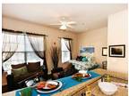 Studio Apartment for Rent