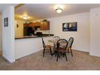 2 Beds - Centre Meadows Luxury Community