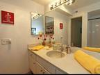 $995 / 2br - 960ft² - Great View and sunlight 2 bed 1 bath