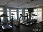 $1379 / 3br - 1382ft² - Now Pre Leasing For Summer! Huge 3BR On UNC Bus Line!