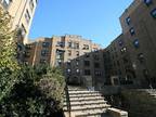 Larchmont Appartment Rental