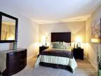 $635 / 1br - 550ft² - one bedroom one bathroom $100 off first month new carpet