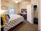 University Edge Apartment for rent