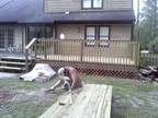 $600 House needed