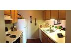 $550 / 1br - 594ft² - Don't Pay Rent Until October For 1 Bedroom's!!!
