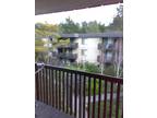 $1775 Nice Studio! New Kitchen&Carpeting!3Pools,Gym,GameRoom,Patio&Parking!