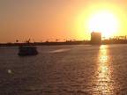 Room for Rent at an Amazing Bayfront Apartment in Sail Bay (Mission Bay)