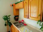 Clean 4 Rooms Ready Now With Appliances