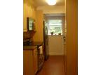 Wonderful 3 bed/1 Bath Apartment - Parking, Laundry, Renovated