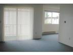 affordable 2BD / 1BTH apartment in Burien