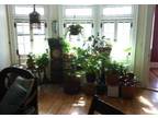 sun-drenched, floor through, fully furnished