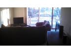2BR / 1Ba 1000ft2 furnished apartment bedroom available may 1st 2015