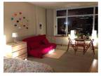 1 BR Modern Furnished SW WATERFRONT STUDIO