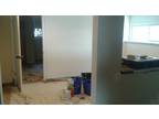 1 BR Basement for Rent