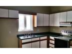 Bright Lower 1 Bedroom