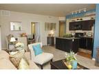 Studio - Arbour Commons