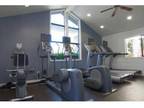 1 Bed - Paseo Place