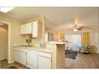 3 Beds - Paseo Park