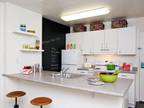 1 Bed - AVA Nob Hill
