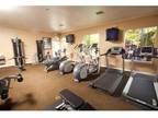 1 Bed - Ultris at Rancho Del Oro
