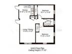 Roommate wanted from the end of February