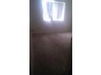 Seeking a roommate to share a 2 bedroom Apartment by Feb 1st