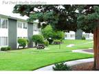 Perfect 3-Bdrm in North Tacoma $995! All We Need is You