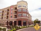 1 Spacious BR in Voorhees