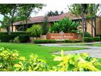 1 Bed - Southern Pointe
