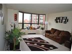 Beautiful, sunny, spacious, full amenity 1br south loop. 0 moving fee