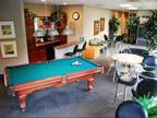 4 Beds - Cedar Village Apartments (Student Housing)