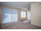 New Carpet, 2 tone paint, new lighting 1x1 $710 a month $250 off move in