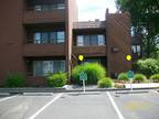 $585 / 440ft² - Studio available NOW! 1st floor, Great Location!