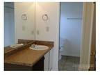 2 Beds - Shelton Park Apartments