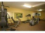 Studio - Beaver Creek