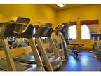 Studio - The Highlands at Spectrum