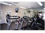 1 Bed - The Columns at Sweetwater Creek