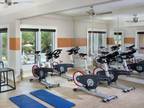 1 Bed - The Venue at Lakewood Ranch