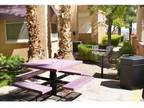 3 Beds - Cha Cha Cha Apartments