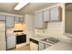 1 Bed - Hillview
