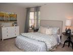 1 Bed - Ashford Pointe