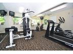 1 Bed - Timbers Apartments