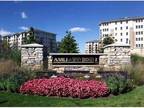 1 Bed - AMLI at Seven Bridges
