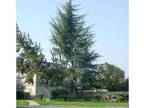 1 Bed - Parkwood Apartments