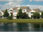 1 Bed - AMLI at Naperville