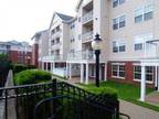 1 Bed - Avalon Willow