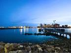 1 Bed - Portside at East Pier