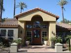 1 Bed - The Palms
