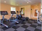 2 Beds - Evergreen Apartments & Townhomes