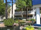 2 Beds - The Place at 101 Sheridan